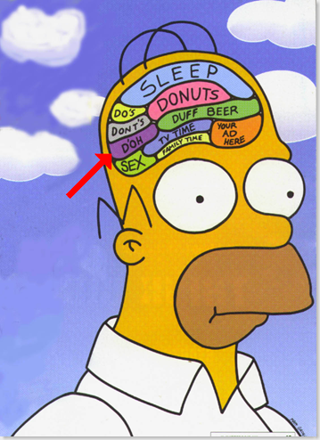 homer's%20brain_thumb.png